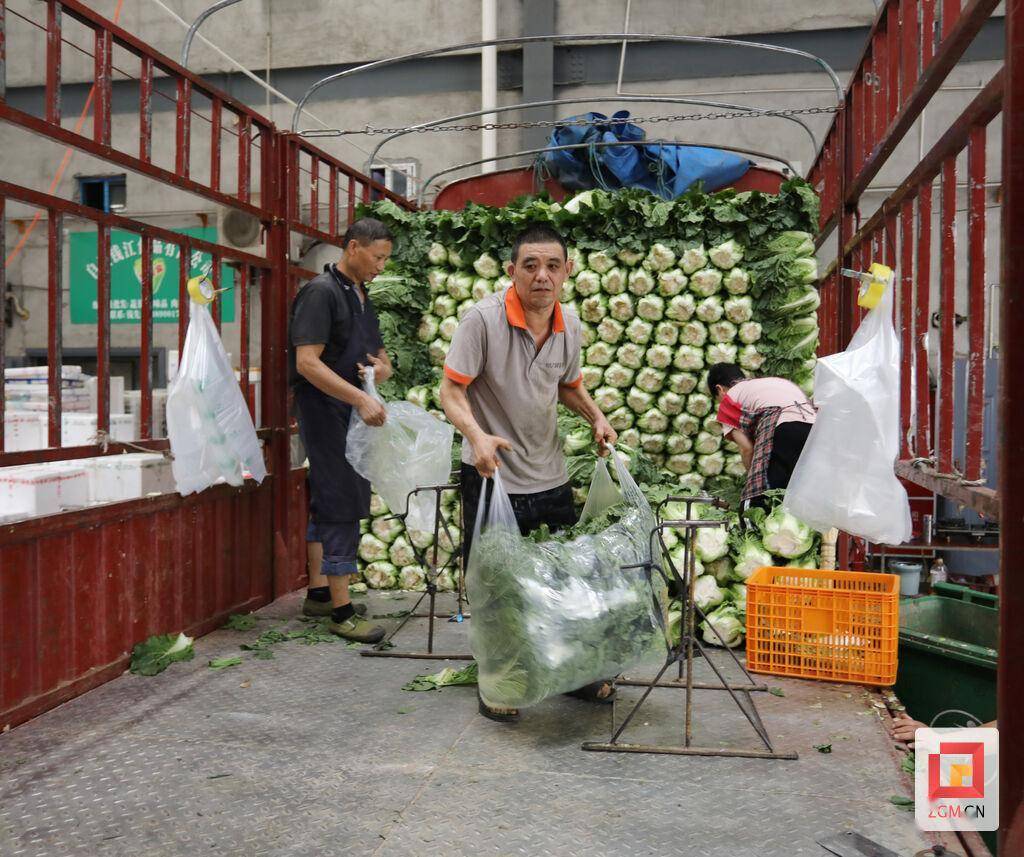 果蔬日交易量1500余吨 欧亿体育 欧亿体育网站自贡大型农产品批发市场抢“鲜”保供一线探访(图5)