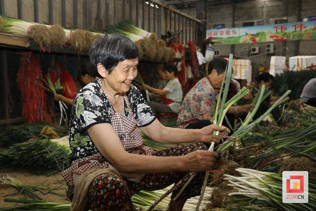 果蔬日交易量1500余吨 欧亿体育 欧亿体育网站自贡大型农产品批发市场抢“鲜”保供一线探访(图3)