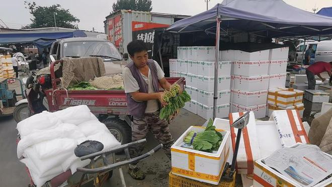 暴雨致北京蔬菜大幅减产菜农诉苦：别欧亿体