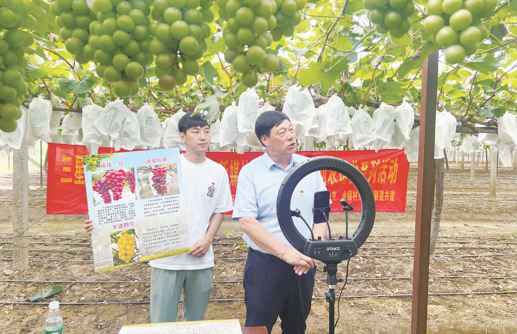 欧亿体育 欧亿体育平台江苏海门：水果飘香产业兴 趟出“甜蜜”致富路(图4)