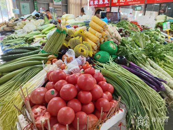 处暑后江苏各地“菜篮子”市场表现欧亿体育