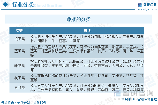 欧亿体育 欧亿体育官方2023年中国蔬菜