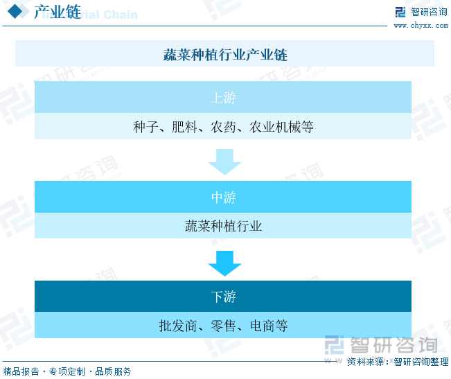 欧亿体育 欧亿体育官方2023年中国蔬菜种植行业全景分析：种植面积与产量稳步抬升[图](图3)