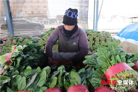 欧亿体育 欧亿体育平台泰安良庄蔬菜批发市场一天销量达150吨(图6)