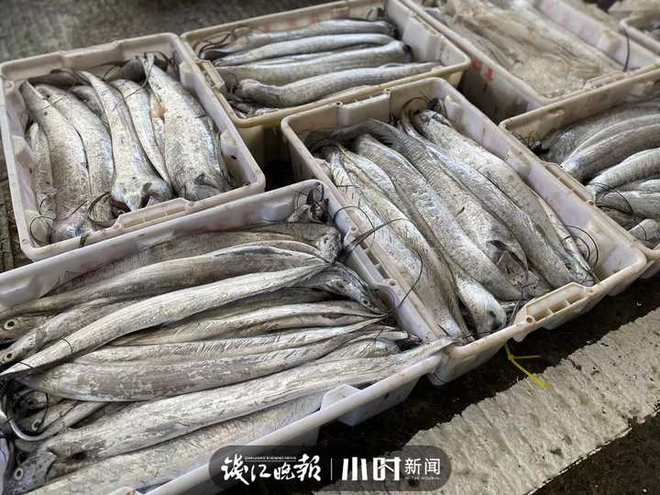 拱墅区居民担心果蔬鱼肉供不上？杭州蔬菜批发市场：货量足、价格稳放心吧！欧亿体育 足球 欧亿体育网址(图4)