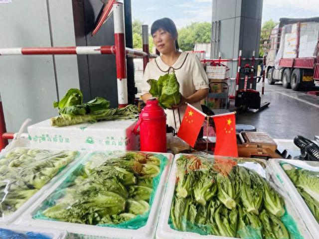 欧亿体育双节前 180种蔬菜、近百种水果上市上海市民“菜篮子”里满满当当(图3)