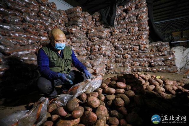 呼和浩特农产品批发市场：货源充足 无需囤货欧亿体育(图4)