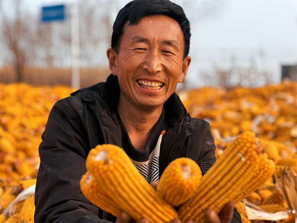 欧亿体育吉林税务：米袋子更鼓 菜篮子更足 果盘香(图2)