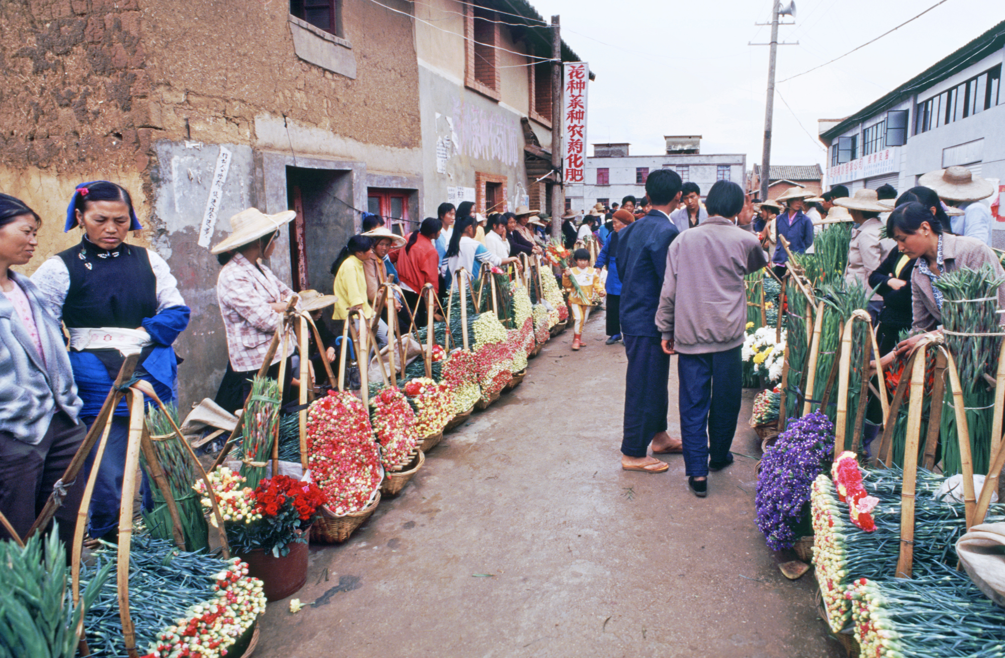 欧亿体育一枝鲜花飘香世界的时代印记 ——斗南花卉产业发展40年综述(图2)