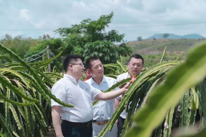 市值蒸发400亿身家缩水百亿！重庆欧亿体育棒棒出身的水果大王不行了？(图4)