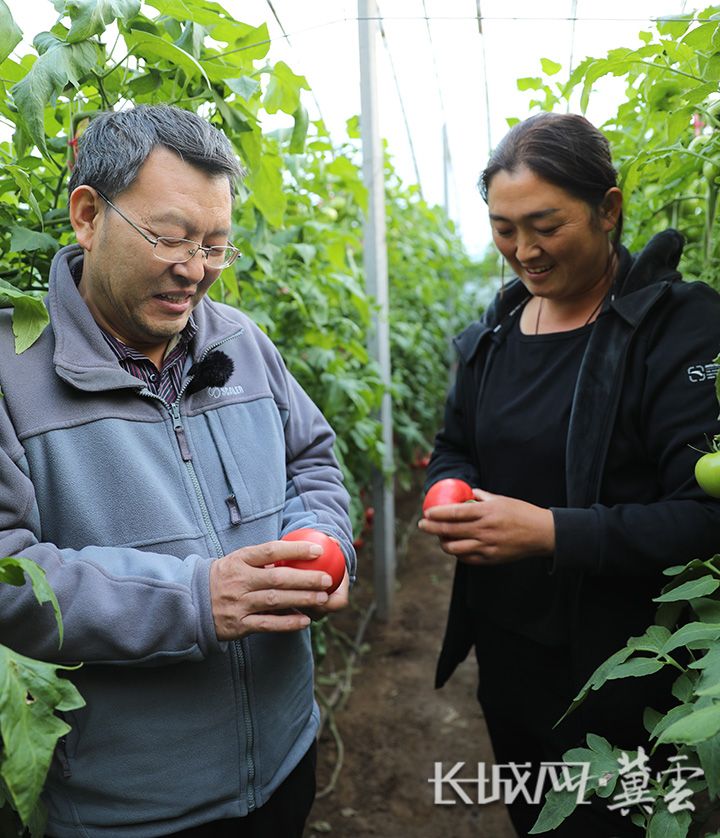 欧亿体育河北净菜进京 衡水饶阳：种好河北“菜园子” 丰富京津“菜篮子”(图4)