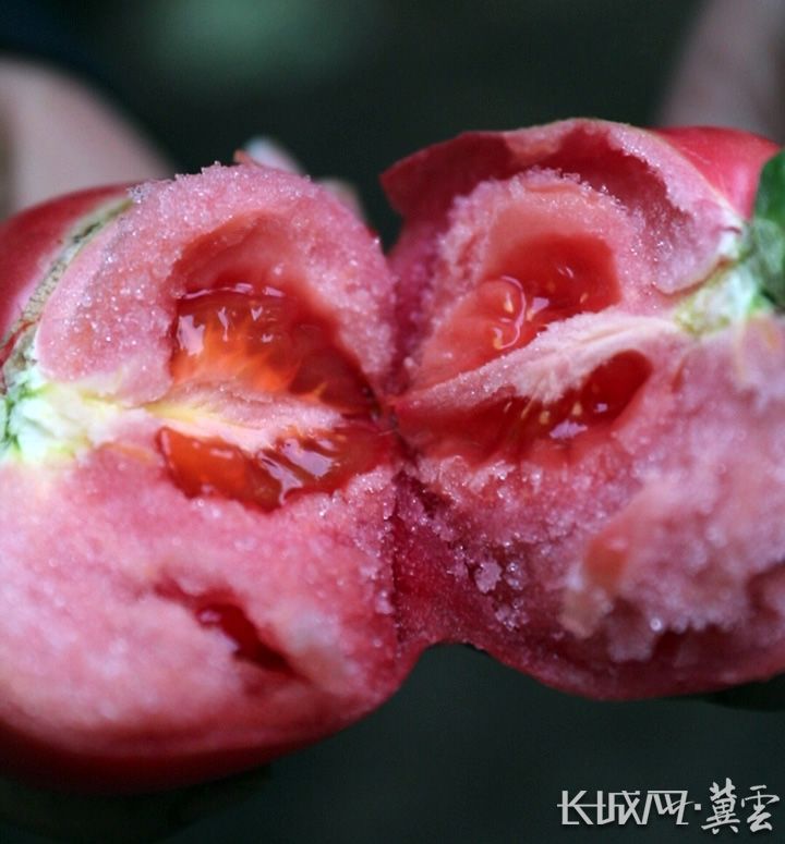 欧亿体育河北净菜进京 衡水饶阳：种好河北“菜园子” 丰富京津“菜篮子”(图2)