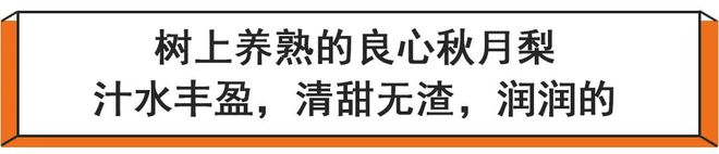 欧亿体育冬天里的水果王者原来是它！清甜水润挖着吃有冰淇淋口感(图2)