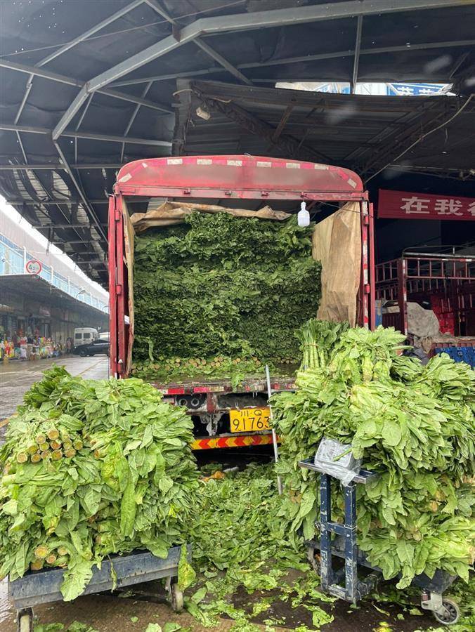 价格平稳 武汉“菜篮子”供应较充足欧亿体