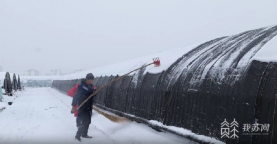 欧亿体育全力应对低温雨雪 江苏各地力保春