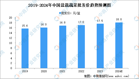 2024年中国盆栽蔬菜批发价及销售收益预