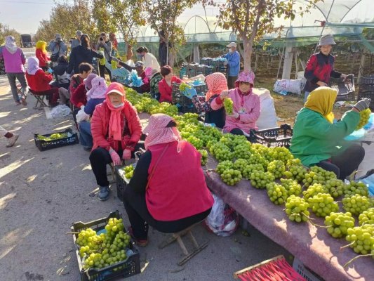 凝聚合力 激发活力 山东莱西市水集街道探索强村共富之路(图3)