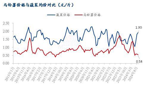 Mysteel解读：农业“靠天吃饭” 坝上新薯“遇雨难收”(图2)