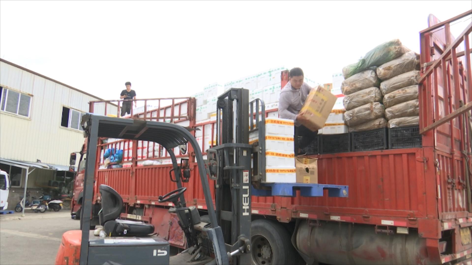 储备加码防范台风浙江多地备足货源确保市民“菜篮子”供应无忧(图4)